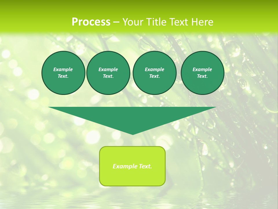 A Green Grass With Water Drops On It PowerPoint Template