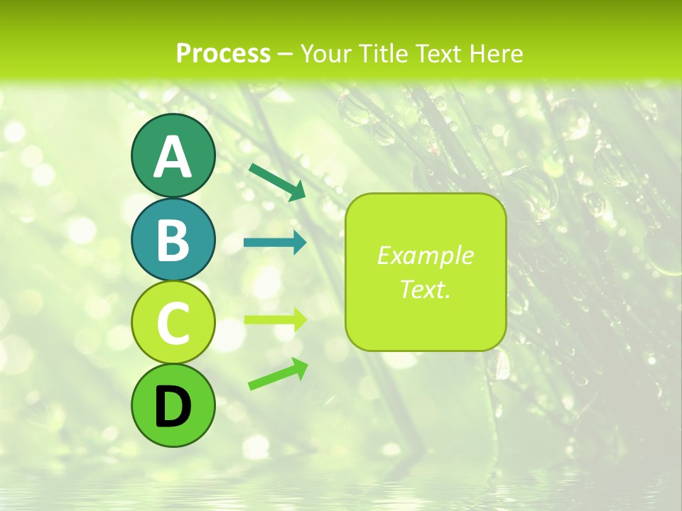 A Green Grass With Water Drops On It PowerPoint Template