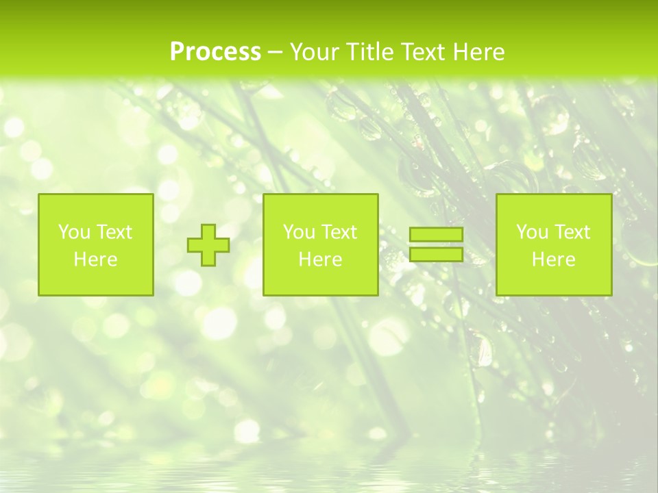 A Green Grass With Water Drops On It PowerPoint Template