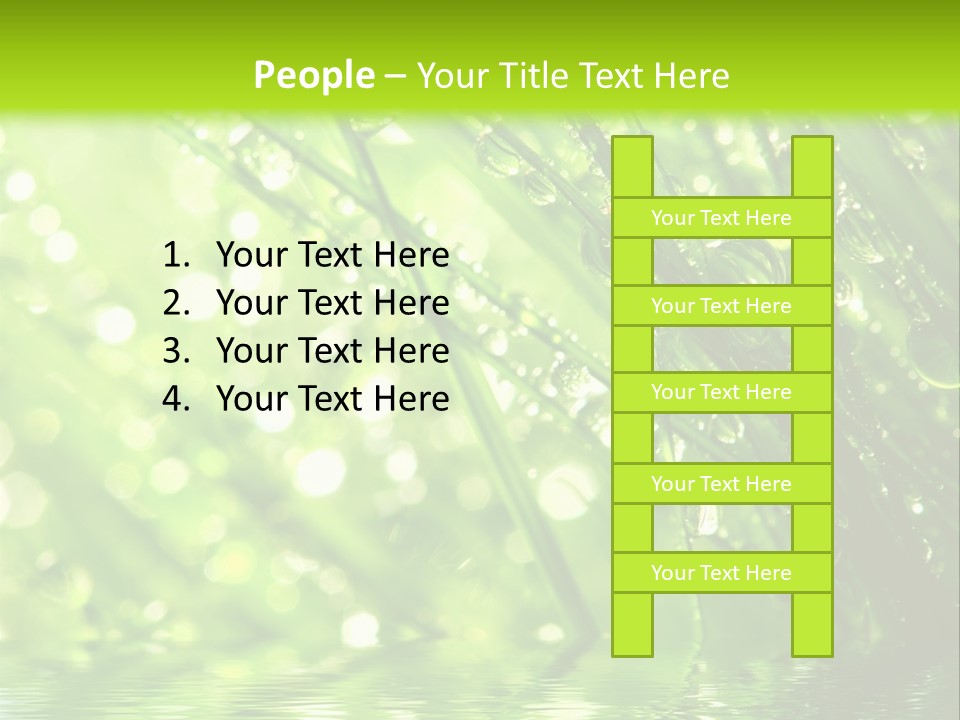 A Green Grass With Water Drops On It PowerPoint Template