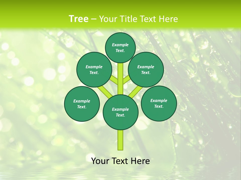 A Green Grass With Water Drops On It PowerPoint Template