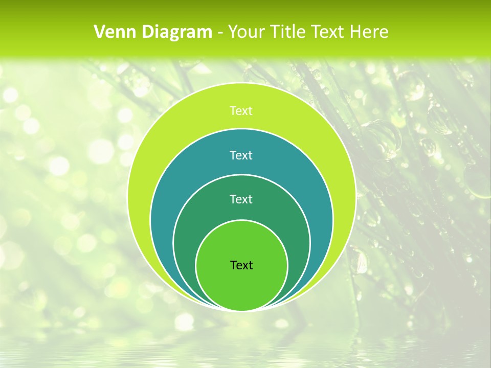 A Green Grass With Water Drops On It PowerPoint Template