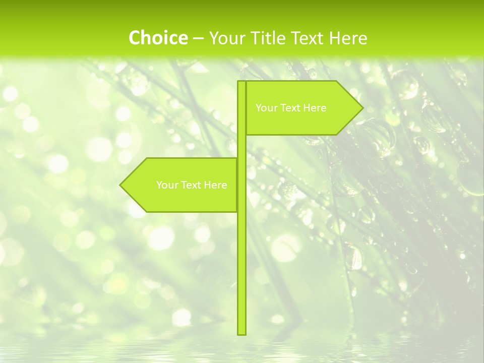 A Green Grass With Water Drops On It PowerPoint Template