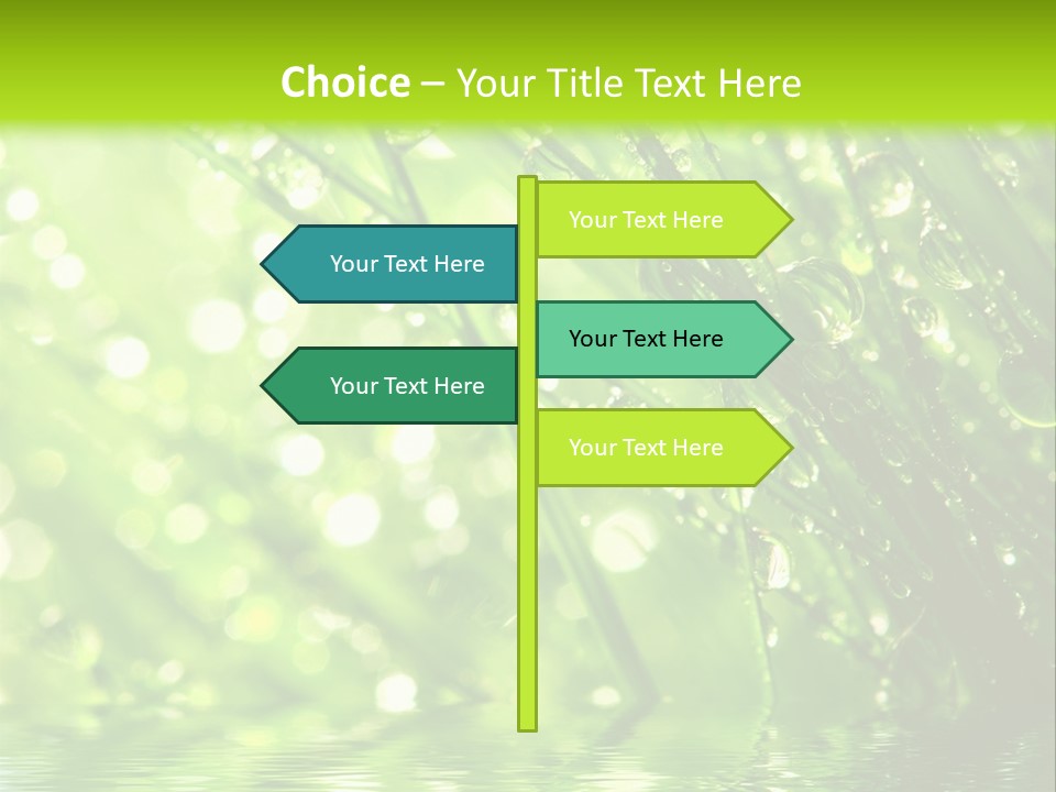A Green Grass With Water Drops On It PowerPoint Template
