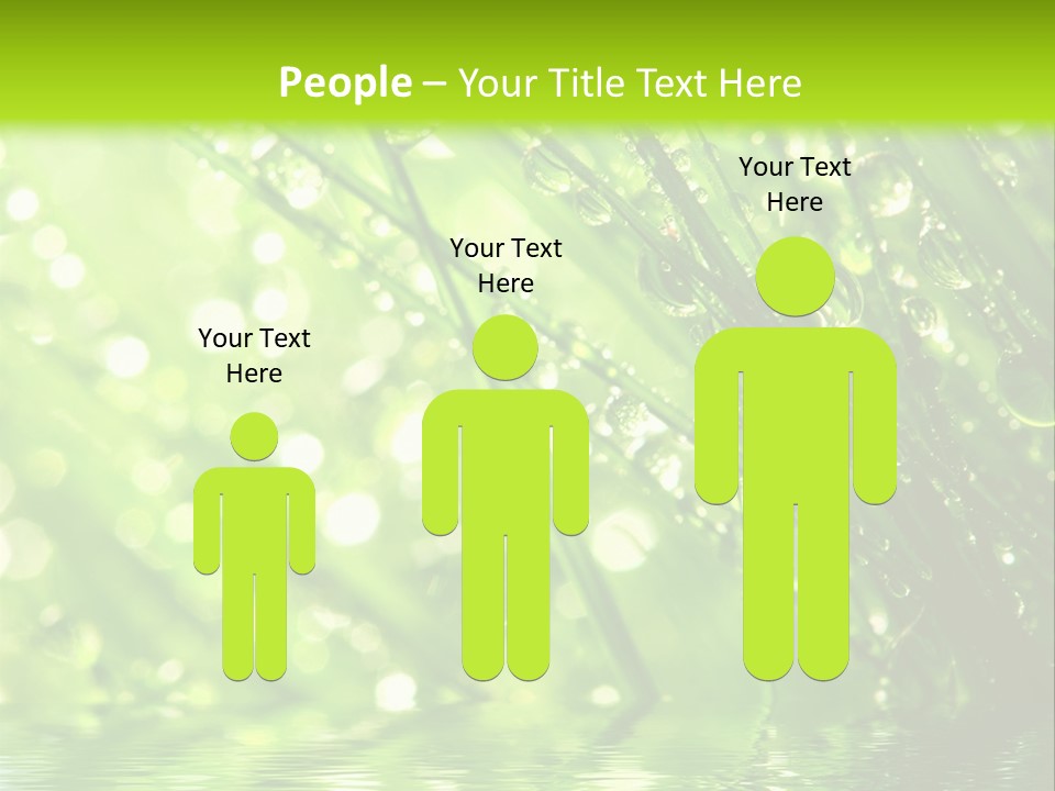 A Green Grass With Water Drops On It PowerPoint Template