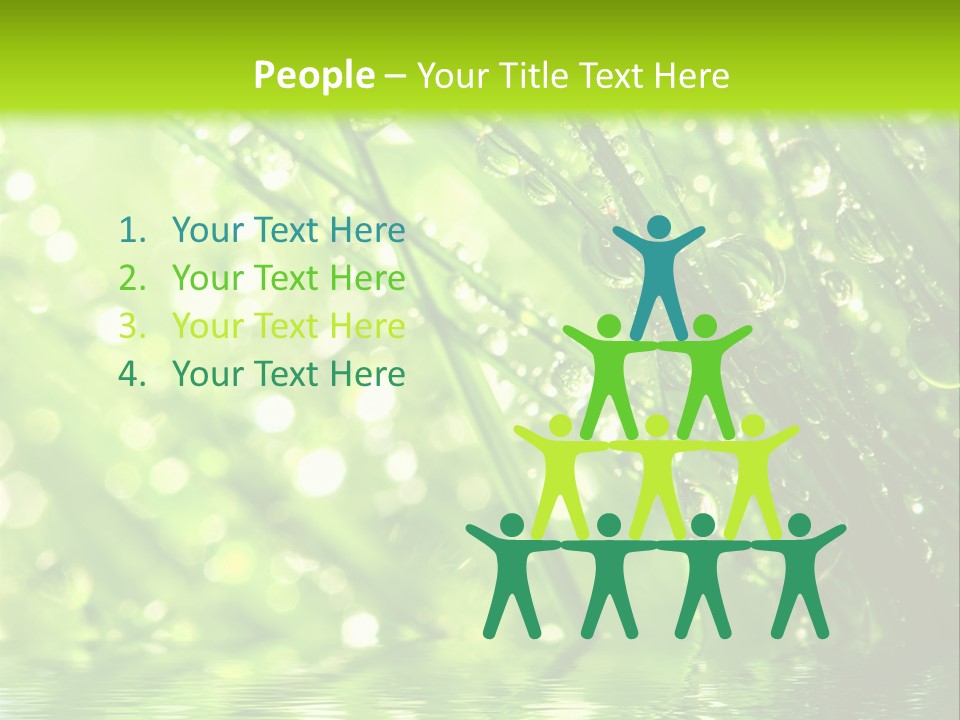 A Green Grass With Water Drops On It PowerPoint Template