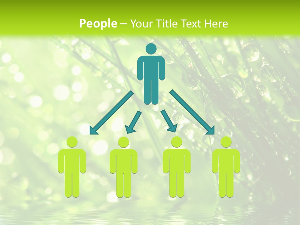 A Green Grass With Water Drops On It PowerPoint Template