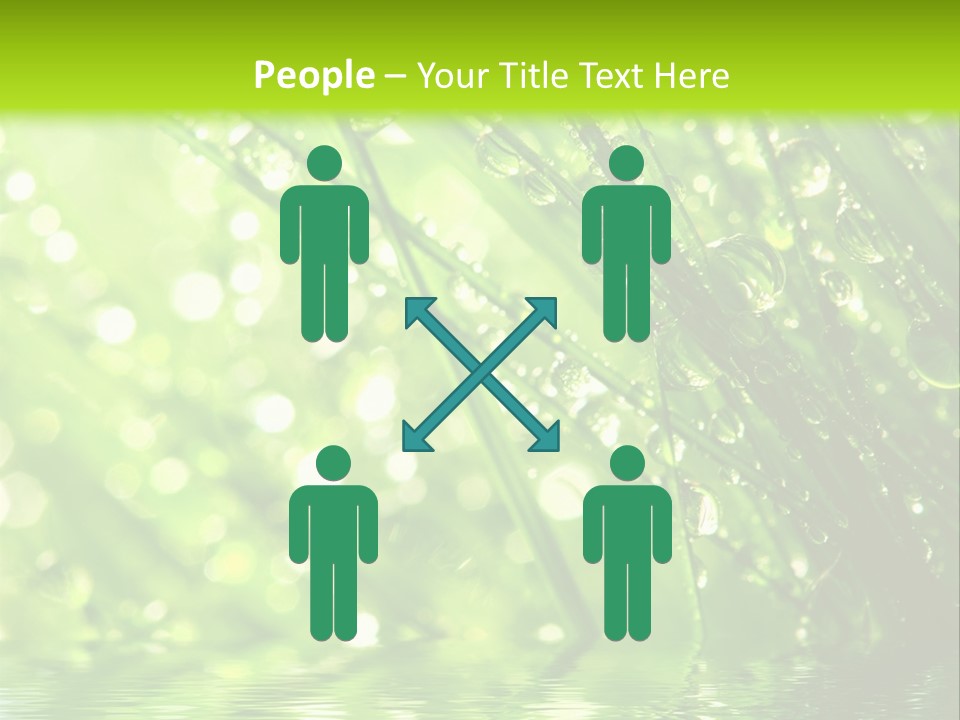 A Green Grass With Water Drops On It PowerPoint Template