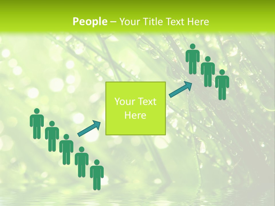 A Green Grass With Water Drops On It PowerPoint Template