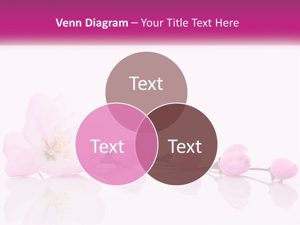 A Pink Flower On A White Background With A Pink Ribbon PowerPoint Template