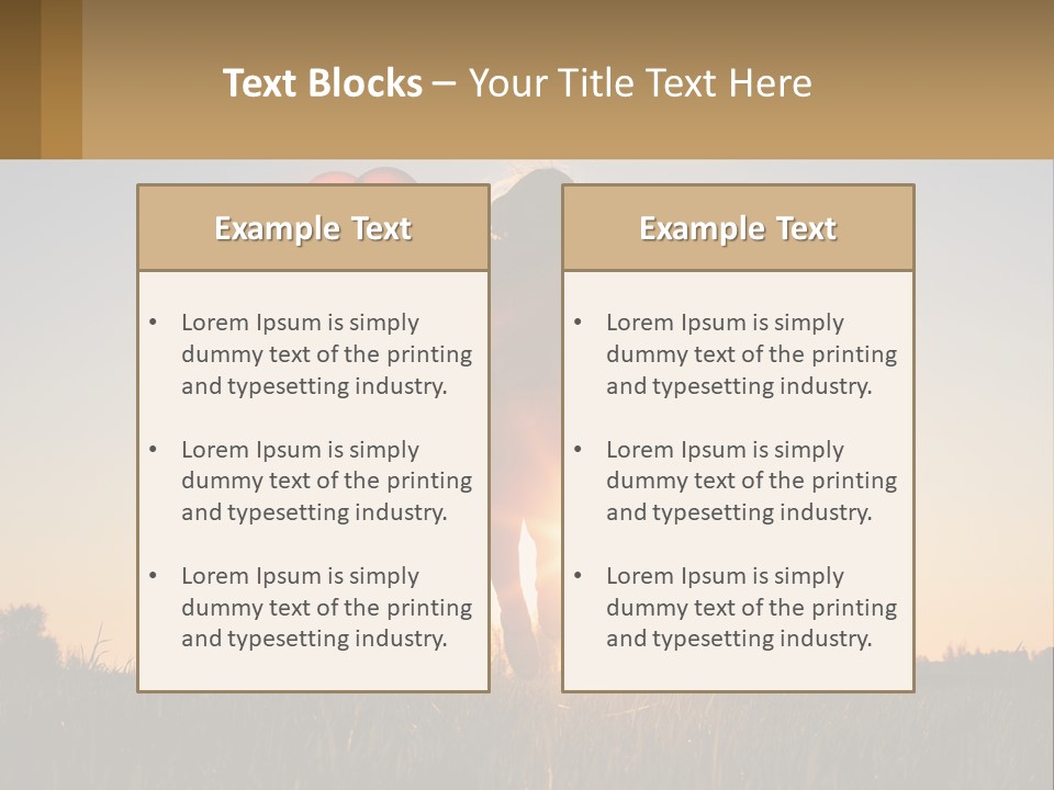 A Woman Holding Balloons In The Air At Sunset PowerPoint Template