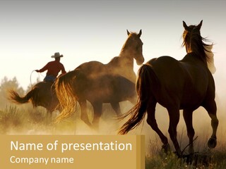 A Man Riding On The Back Of A Brown Horse PowerPoint Template