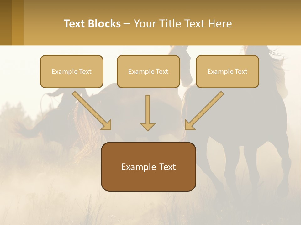 A Man Riding On The Back Of A Brown Horse PowerPoint Template