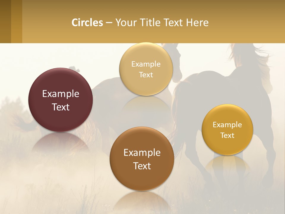 A Man Riding On The Back Of A Brown Horse PowerPoint Template