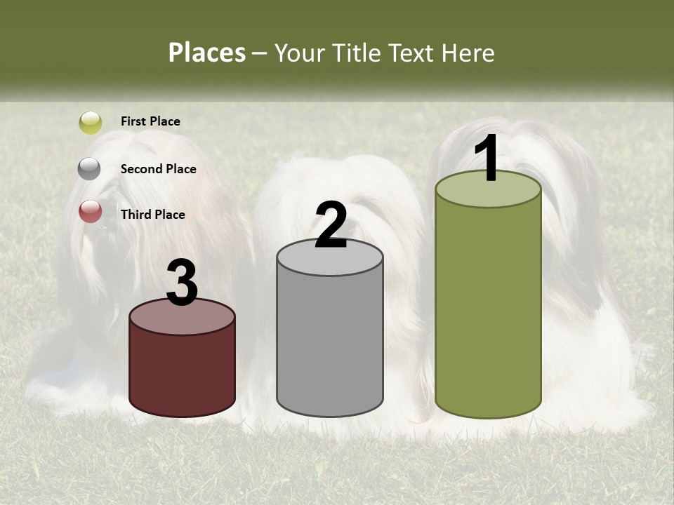 A Group Of Three Dogs Sitting On Top Of A Lush Green Field PowerPoint Template