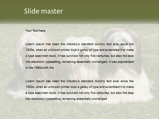 A Group Of Three Dogs Sitting On Top Of A Lush Green Field PowerPoint Template