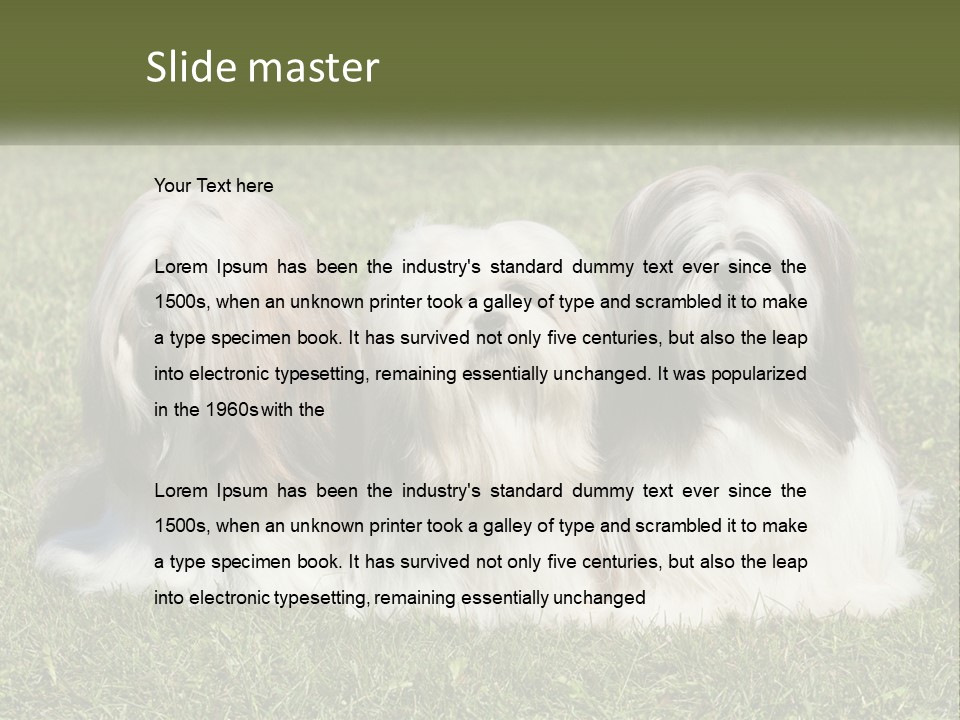 A Group Of Three Dogs Sitting On Top Of A Lush Green Field PowerPoint Template