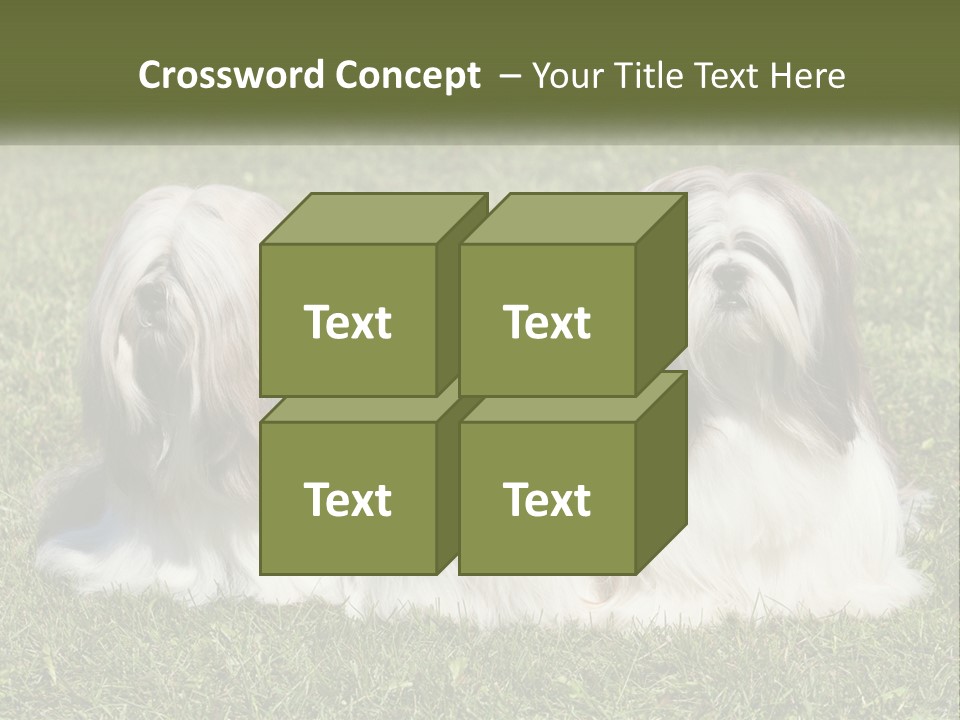 A Group Of Three Dogs Sitting On Top Of A Lush Green Field PowerPoint Template