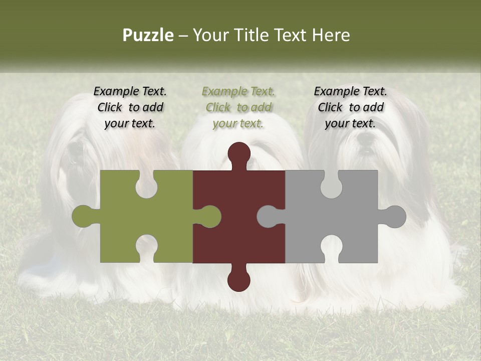 A Group Of Three Dogs Sitting On Top Of A Lush Green Field PowerPoint Template