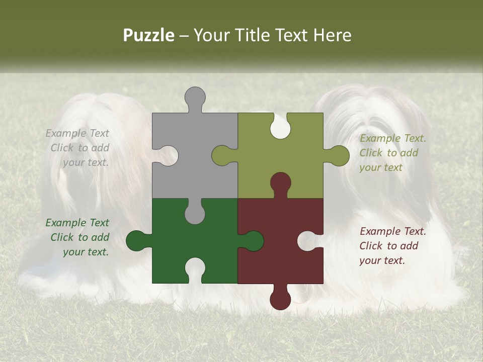 A Group Of Three Dogs Sitting On Top Of A Lush Green Field PowerPoint Template