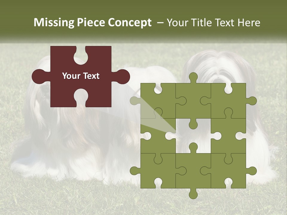 A Group Of Three Dogs Sitting On Top Of A Lush Green Field PowerPoint Template