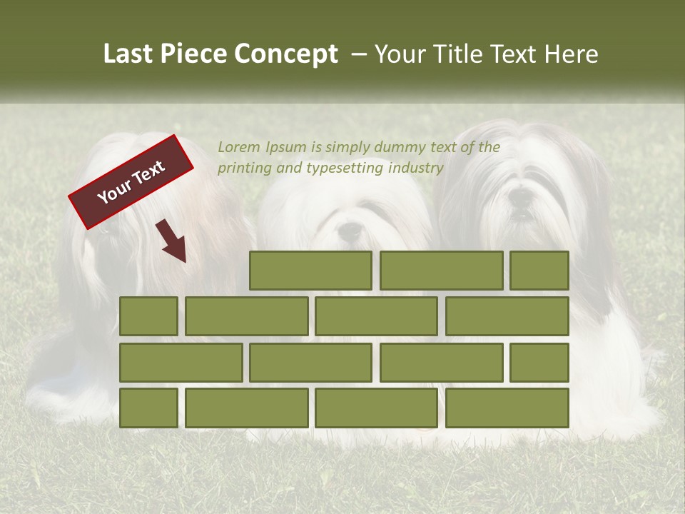 A Group Of Three Dogs Sitting On Top Of A Lush Green Field PowerPoint Template