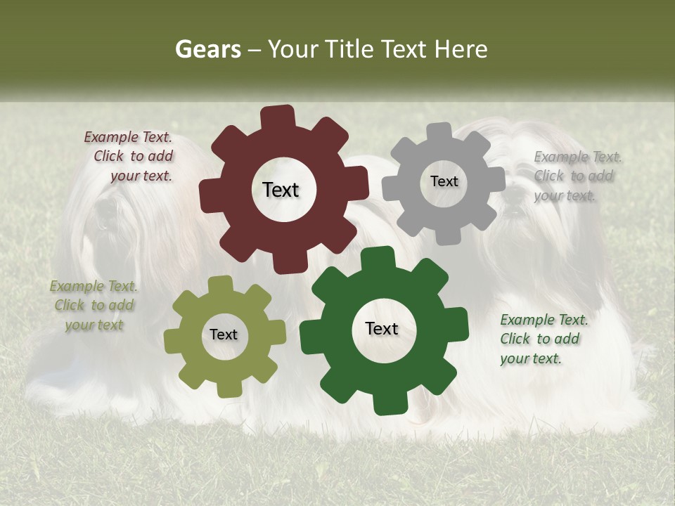 A Group Of Three Dogs Sitting On Top Of A Lush Green Field PowerPoint Template