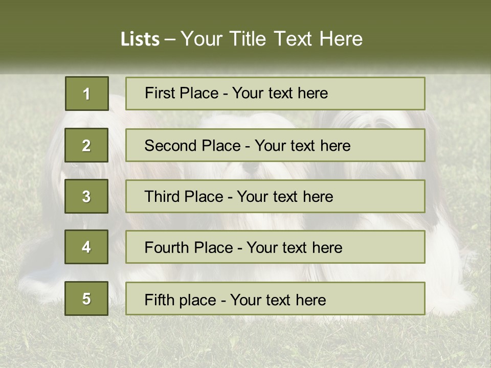 A Group Of Three Dogs Sitting On Top Of A Lush Green Field PowerPoint Template