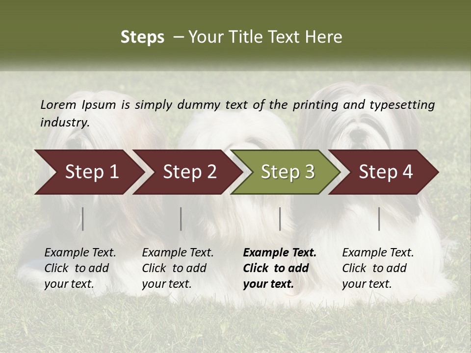 A Group Of Three Dogs Sitting On Top Of A Lush Green Field PowerPoint Template