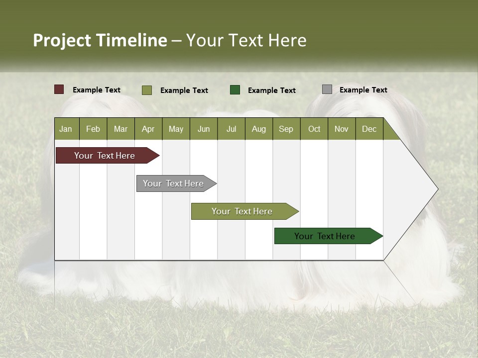 A Group Of Three Dogs Sitting On Top Of A Lush Green Field PowerPoint Template