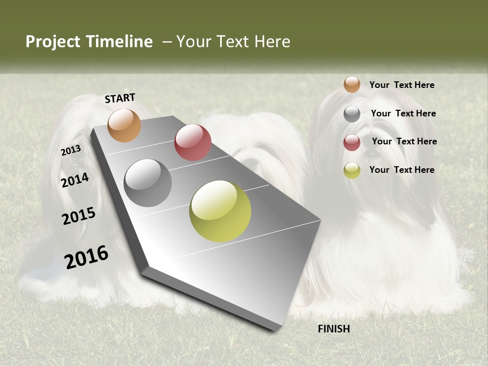 A Group Of Three Dogs Sitting On Top Of A Lush Green Field PowerPoint Template
