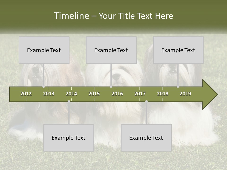 A Group Of Three Dogs Sitting On Top Of A Lush Green Field PowerPoint Template