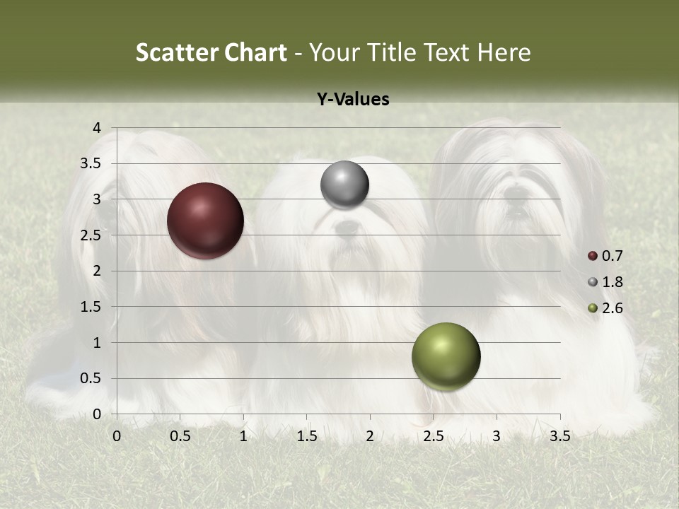 A Group Of Three Dogs Sitting On Top Of A Lush Green Field PowerPoint Template