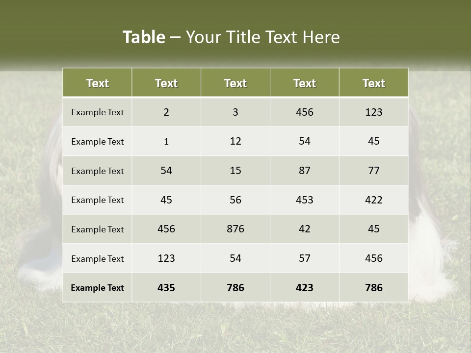 A Group Of Three Dogs Sitting On Top Of A Lush Green Field PowerPoint Template