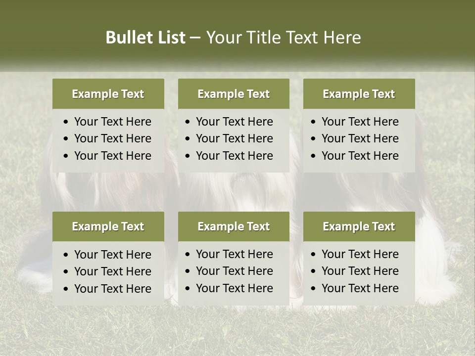 A Group Of Three Dogs Sitting On Top Of A Lush Green Field PowerPoint Template
