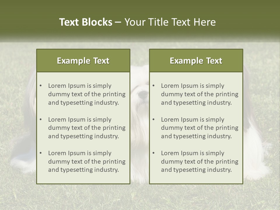 A Group Of Three Dogs Sitting On Top Of A Lush Green Field PowerPoint Template
