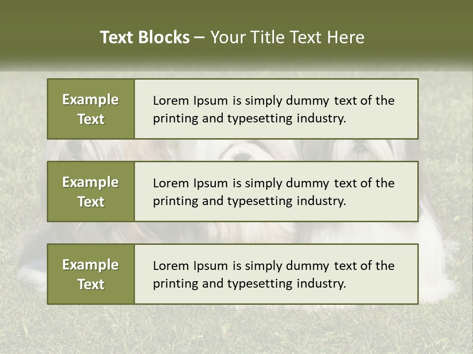 A Group Of Three Dogs Sitting On Top Of A Lush Green Field PowerPoint Template