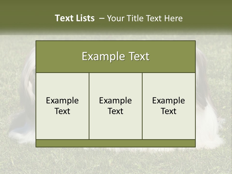 A Group Of Three Dogs Sitting On Top Of A Lush Green Field PowerPoint Template