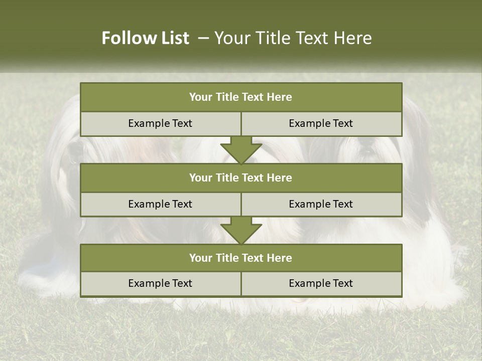 A Group Of Three Dogs Sitting On Top Of A Lush Green Field PowerPoint Template