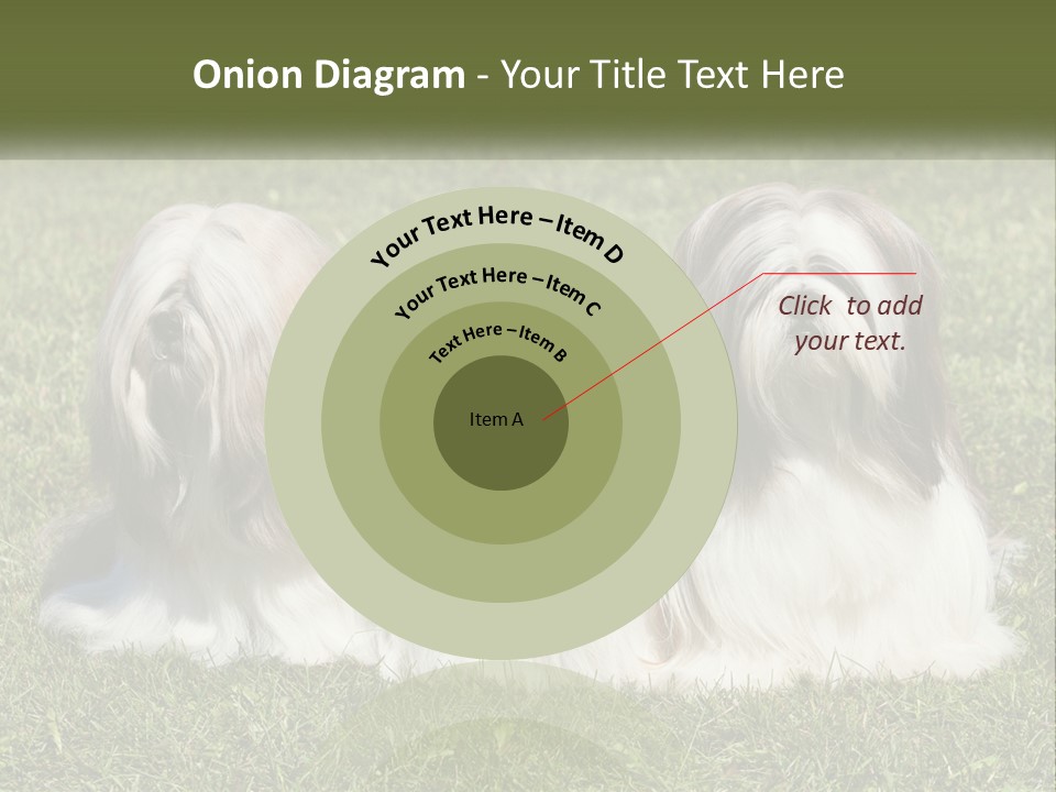 A Group Of Three Dogs Sitting On Top Of A Lush Green Field PowerPoint Template