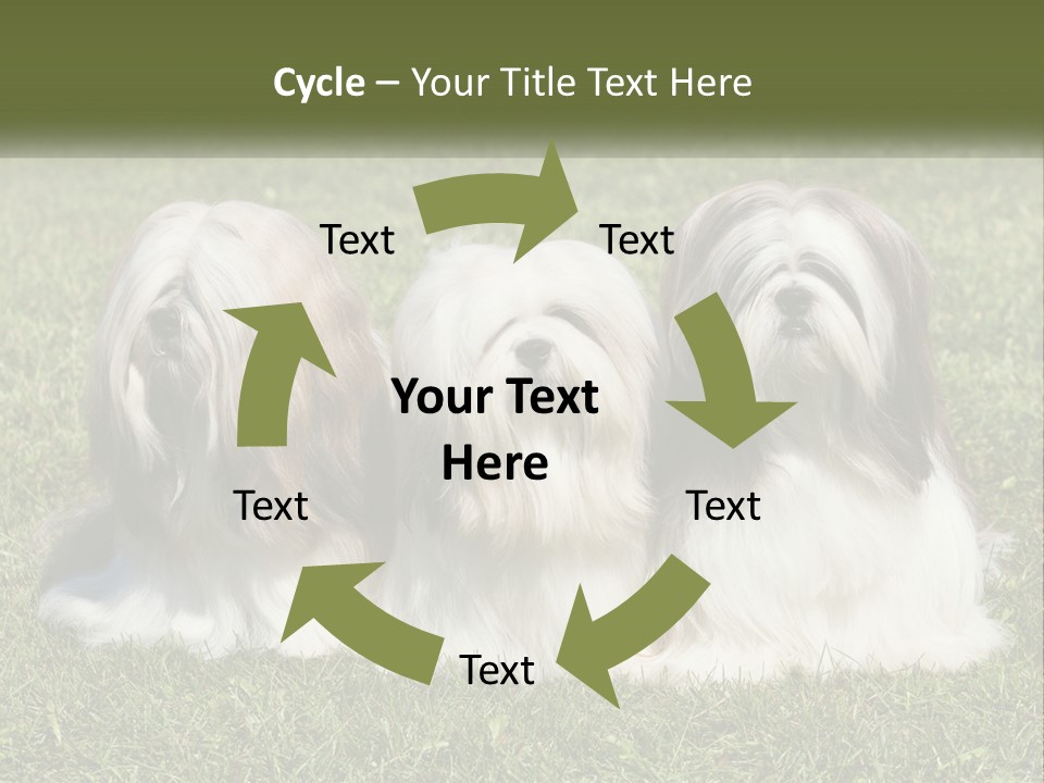 A Group Of Three Dogs Sitting On Top Of A Lush Green Field PowerPoint Template