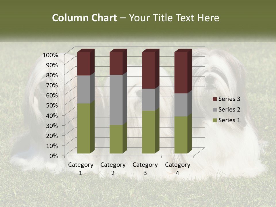 A Group Of Three Dogs Sitting On Top Of A Lush Green Field PowerPoint Template