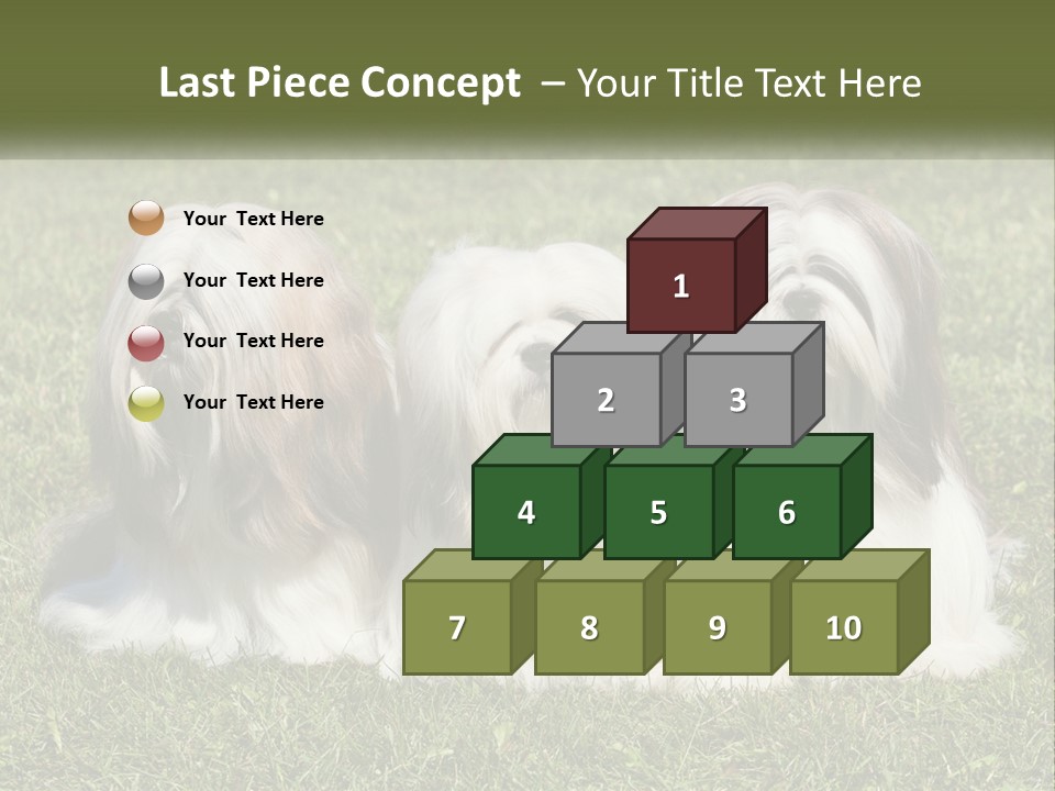 A Group Of Three Dogs Sitting On Top Of A Lush Green Field PowerPoint Template
