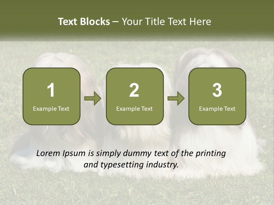 A Group Of Three Dogs Sitting On Top Of A Lush Green Field PowerPoint Template