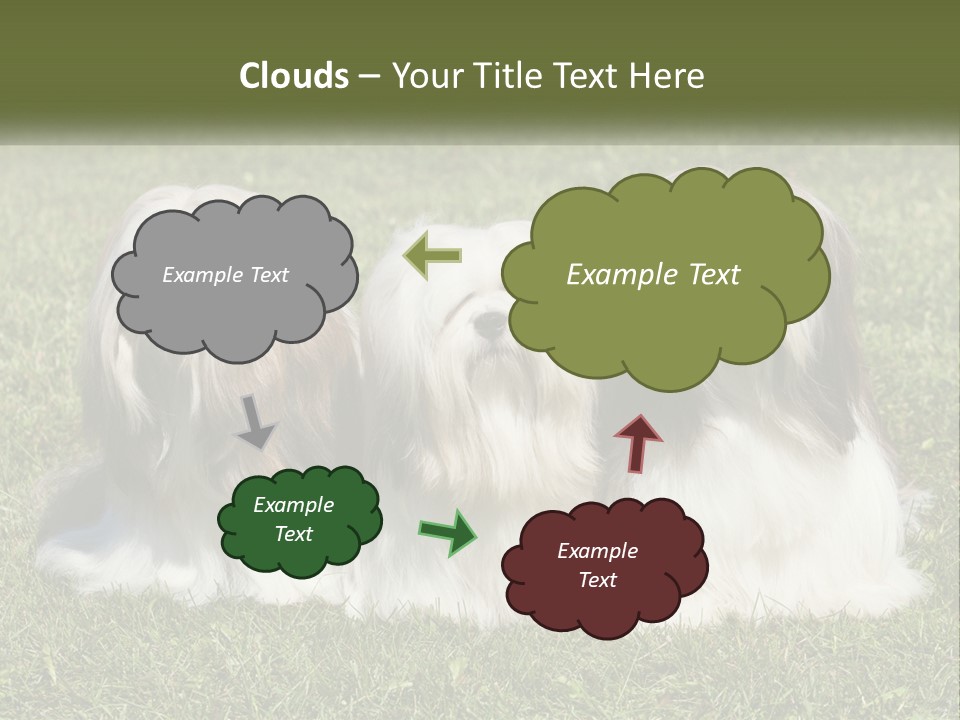 A Group Of Three Dogs Sitting On Top Of A Lush Green Field PowerPoint Template