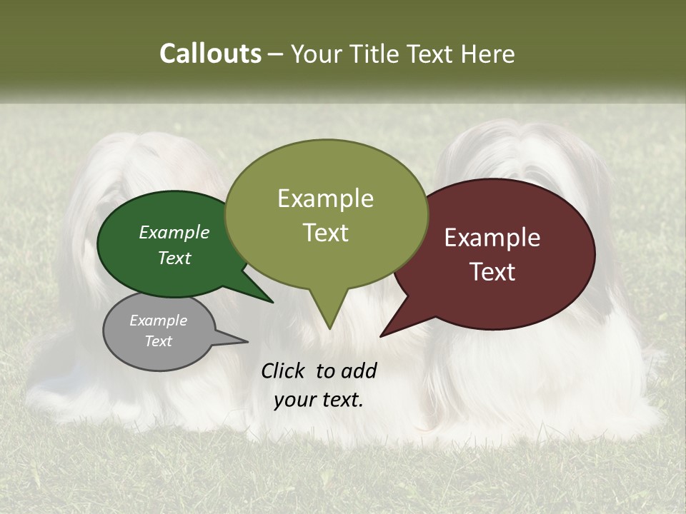 A Group Of Three Dogs Sitting On Top Of A Lush Green Field PowerPoint Template