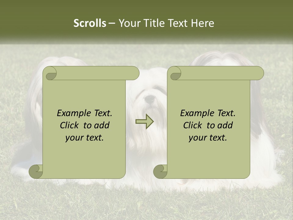 A Group Of Three Dogs Sitting On Top Of A Lush Green Field PowerPoint Template
