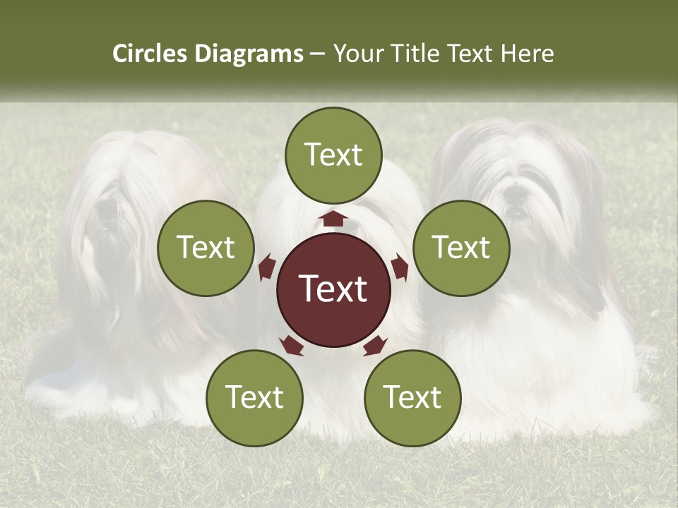 A Group Of Three Dogs Sitting On Top Of A Lush Green Field PowerPoint Template