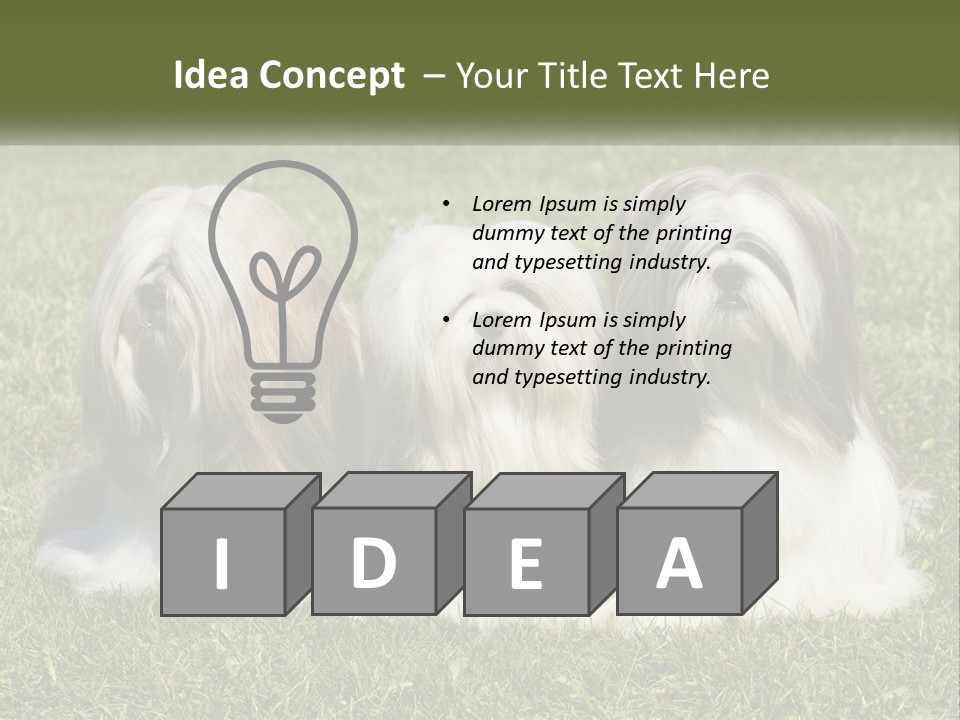 A Group Of Three Dogs Sitting On Top Of A Lush Green Field PowerPoint Template