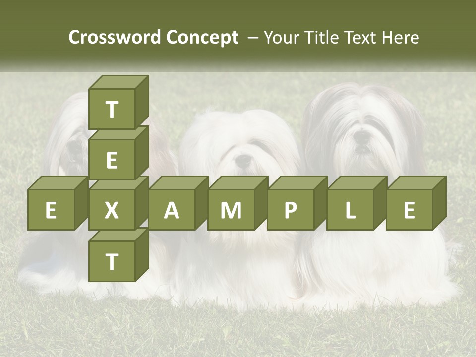 A Group Of Three Dogs Sitting On Top Of A Lush Green Field PowerPoint Template